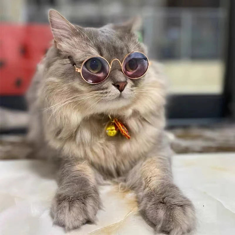 Óculos de Sol Adoráveis para Cães e Gatos